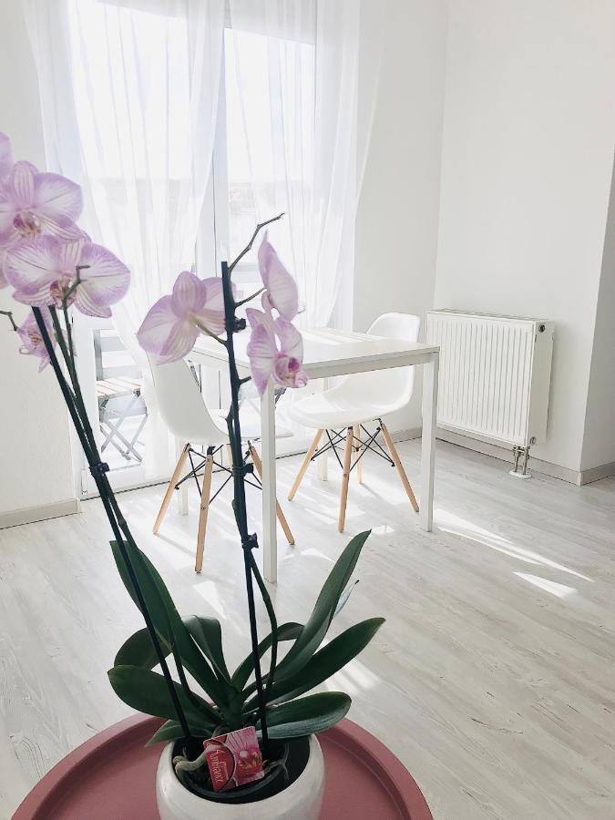 Belvarosi Studio Apartman Kecskemét Exterior foto